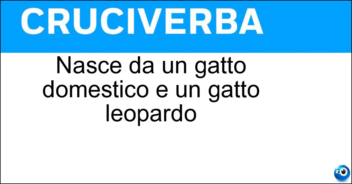 Nasce da un gatto domestico e un gatto leopardo Soluzione Nasce da un gatto domestico e un gatto leopardo - Bengala