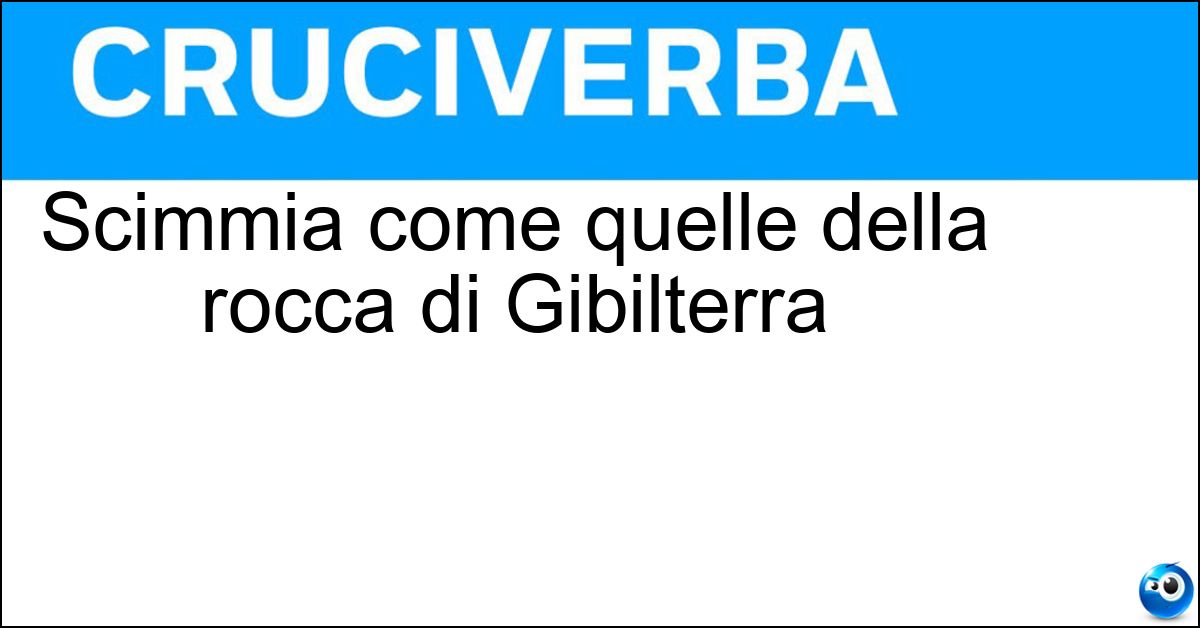 Scimmia come quelle della rocca di Gibilterra Soluzione Scimmia come quelle della rocca di Gibilterra - Bertuccia