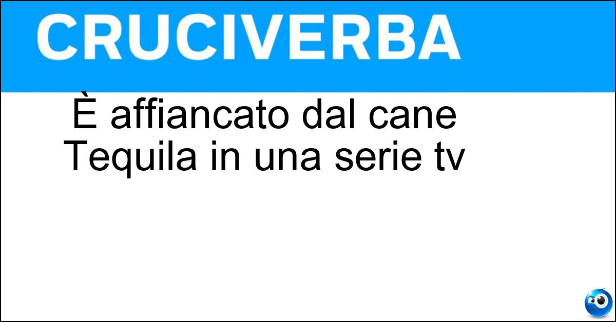 È affiancato dal cane Tequila in una serie tv Soluzione È affiancato dal cane Tequila in una serie tv - Bonetti