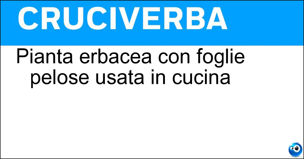 Pianta erbacea con foglie pelose usata in cucina Soluzione Pianta erbacea con foglie pelose usata in cucina - Borragine