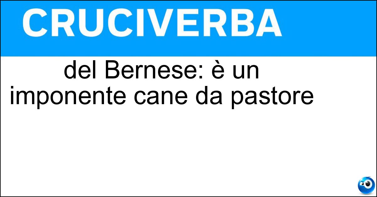 Soluzione del Bernese: è un imponente cane da pastore - Bovaro