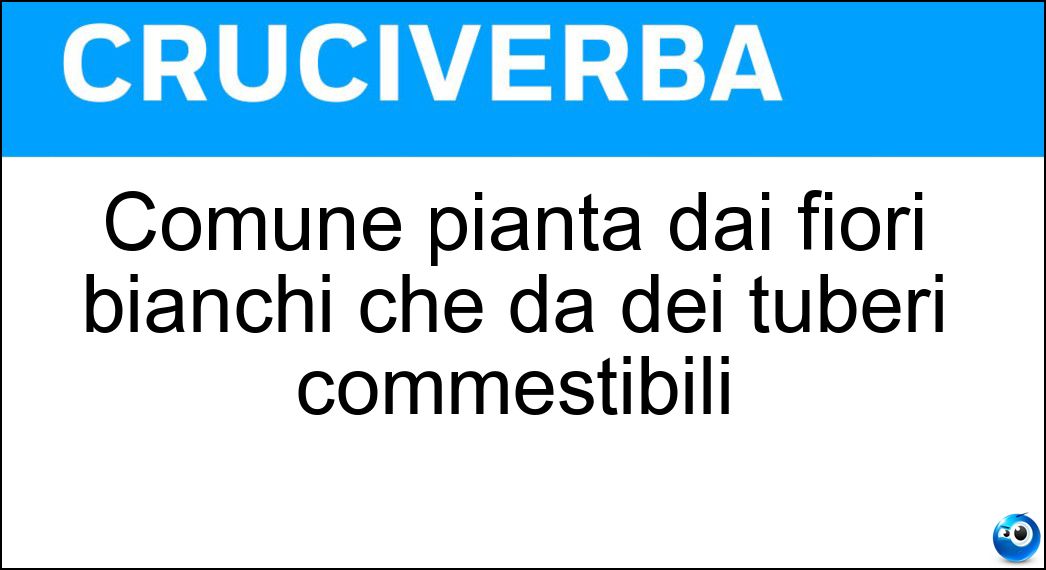 Comune pianta dai fiori bianchi che dà dei tuberi commestibili