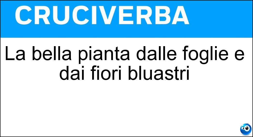 La bella pianta dalle foglie e dai fiori bluastri