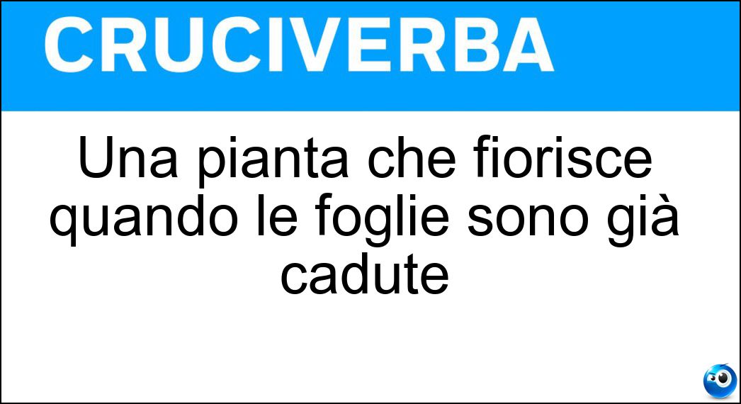 Una pianta che fiorisce quando le foglie sono già cadute Soluzione Una pianta che fiorisce quando le foglie sono già cadute - Calicanto