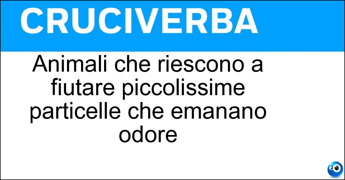 Animali che riescono a fiutare piccolissime particelle che emanano odore Soluzione Animali che riescono a fiutare piccolissime particelle che emanano odore - Cani Molecolari