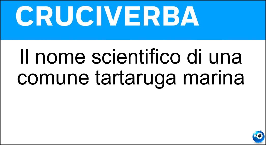 Il nome scientifico di una comune tartaruga marina Soluzione Cruciverba: Il nome scientifico di una comune tartaruga marina - Risposta Caretta Caretta