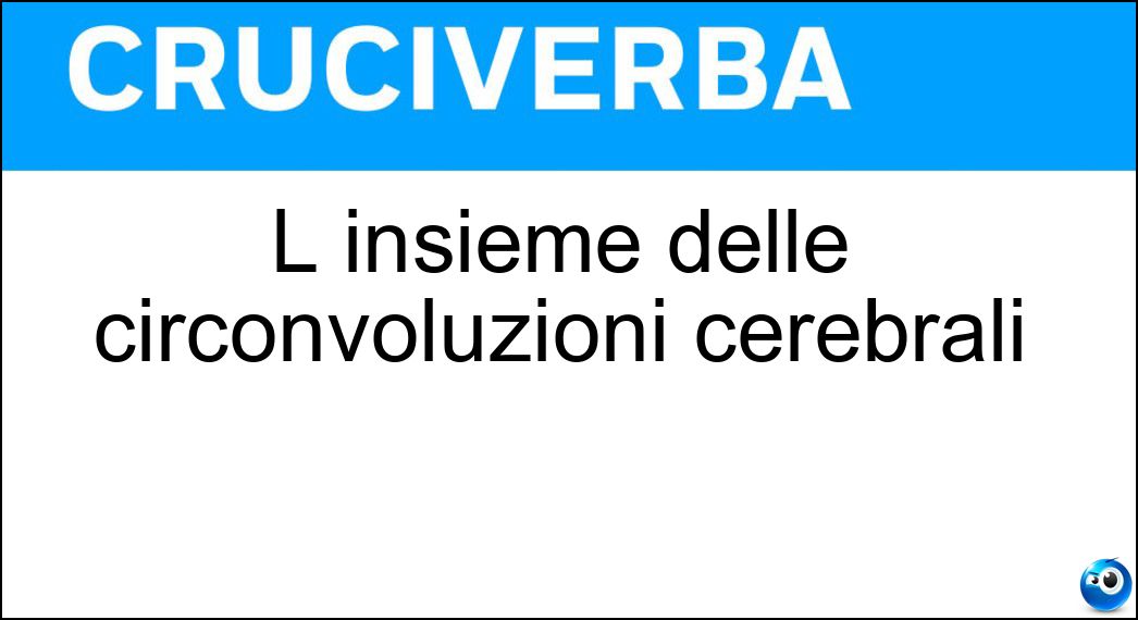 L insieme delle circonvoluzioni cerebrali Soluzione L insieme delle circonvoluzioni cerebrali - Cervella