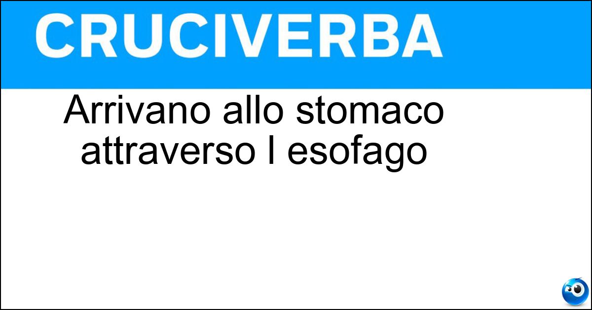 Arrivano allo stomaco attraverso l esofago Soluzione Arrivano allo stomaco attraverso l esofago - Cibi
