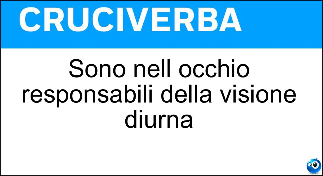 Sono nell occhio responsabili della visione diurna Soluzione Cruciverba: Sono nell occhio responsabili della visione diurna - Risposta Coni