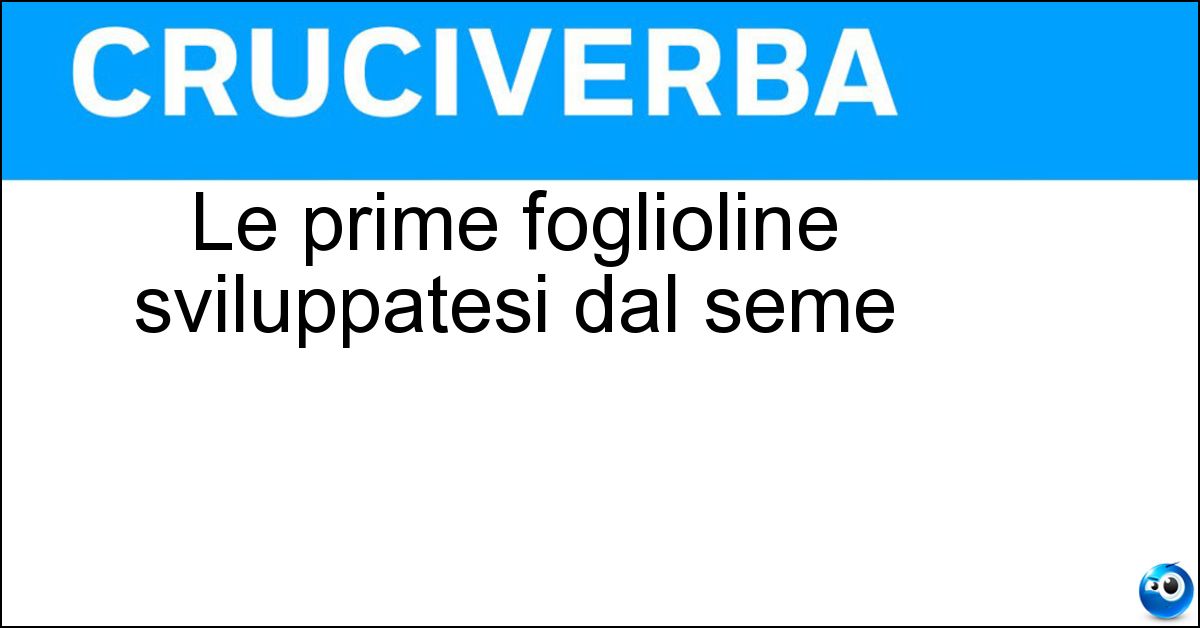 Soluzione Le prime foglioline sviluppatesi dal seme - Cotiledoni