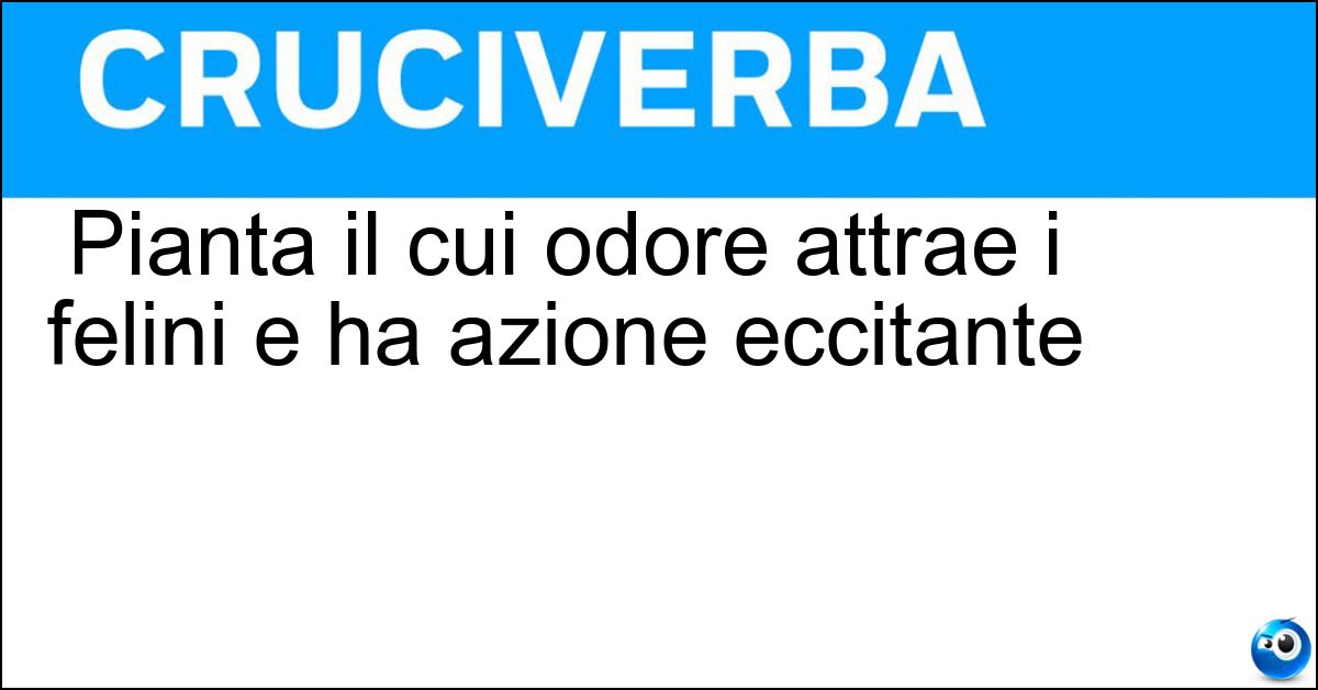 Pianta il cui odore attrae i felini e ha azione eccitante Soluzione Pianta il cui odore attrae i felini e ha azione eccitante - Erba Dei Gatti