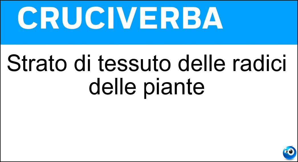 Strato di tessuto delle radici delle piante