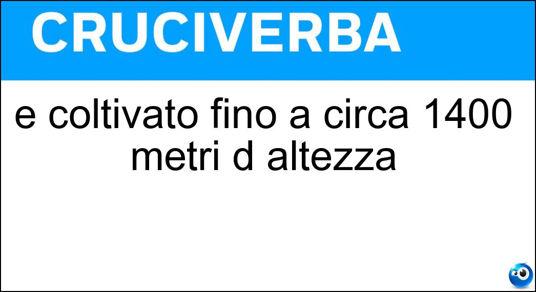 È coltivato fino a circa 1400 metri d altezza