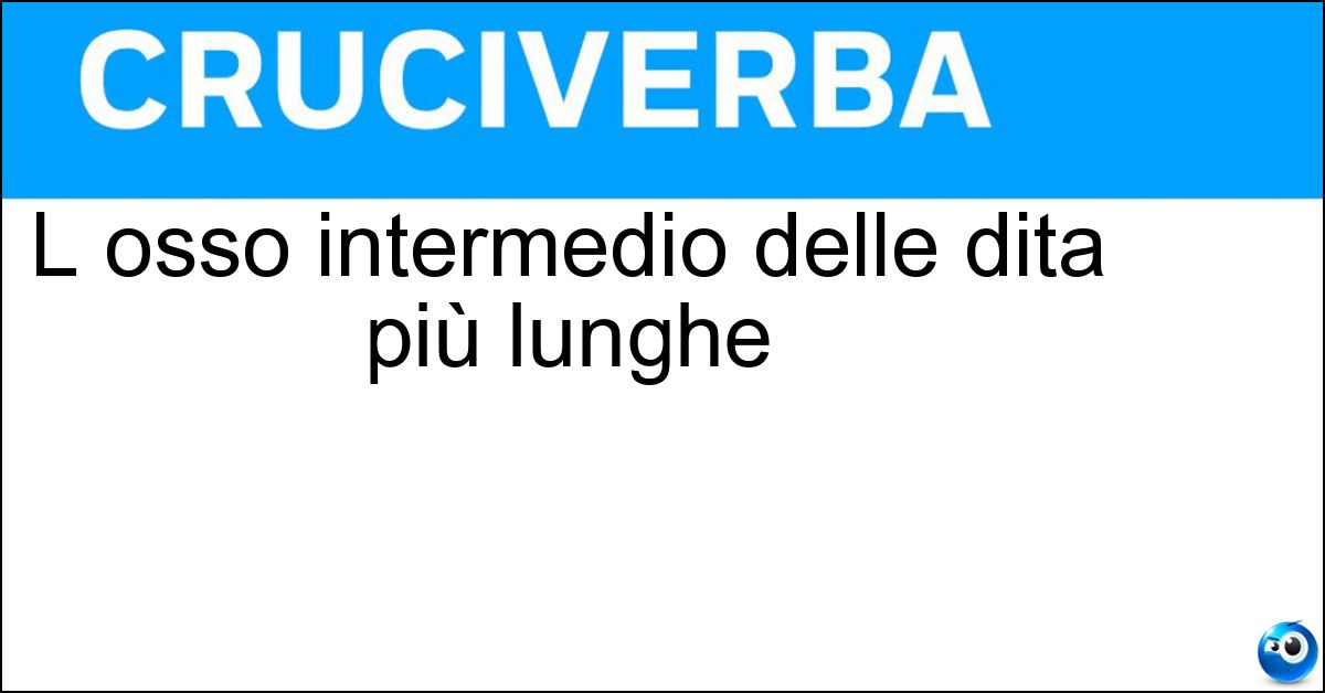 L osso intermedio delle dita più lunghe Soluzione L osso intermedio delle dita più lunghe - Falangina