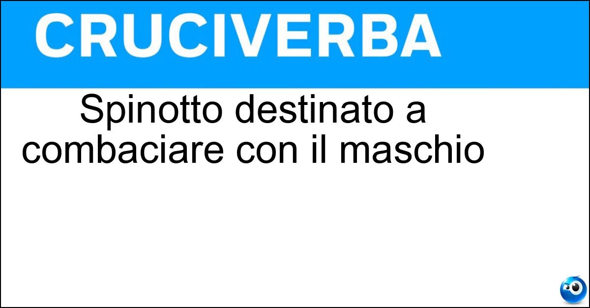 Soluzione Spinotto destinato a combaciare con il maschio - Femmina