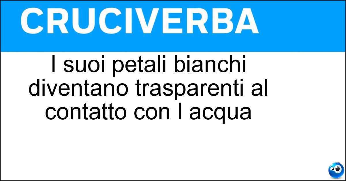 Soluzione I suoi petali bianchi diventano trasparenti al contatto con l acqua - Fiore Scheletro