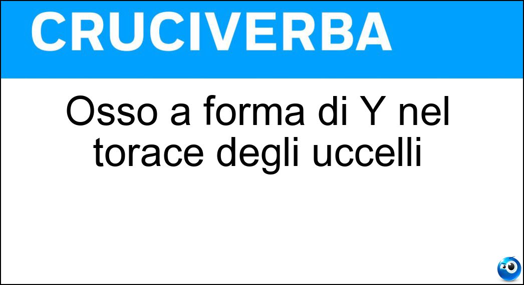 Osso a forma di Y nel torace degli uccelli Soluzione Osso a forma di Y nel torace degli uccelli - Furcula