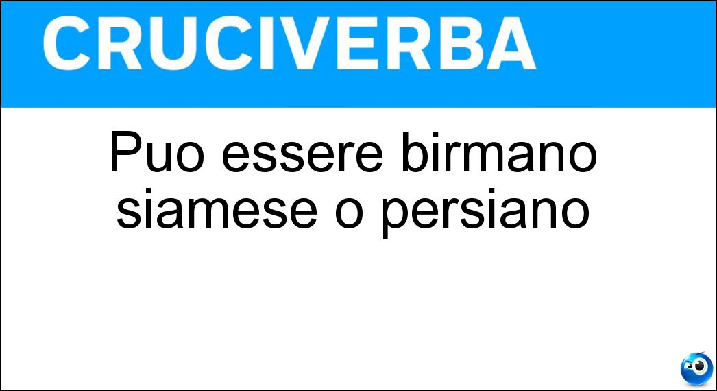 Soluzione Può essere birmano siamese o persiano - Gatto
