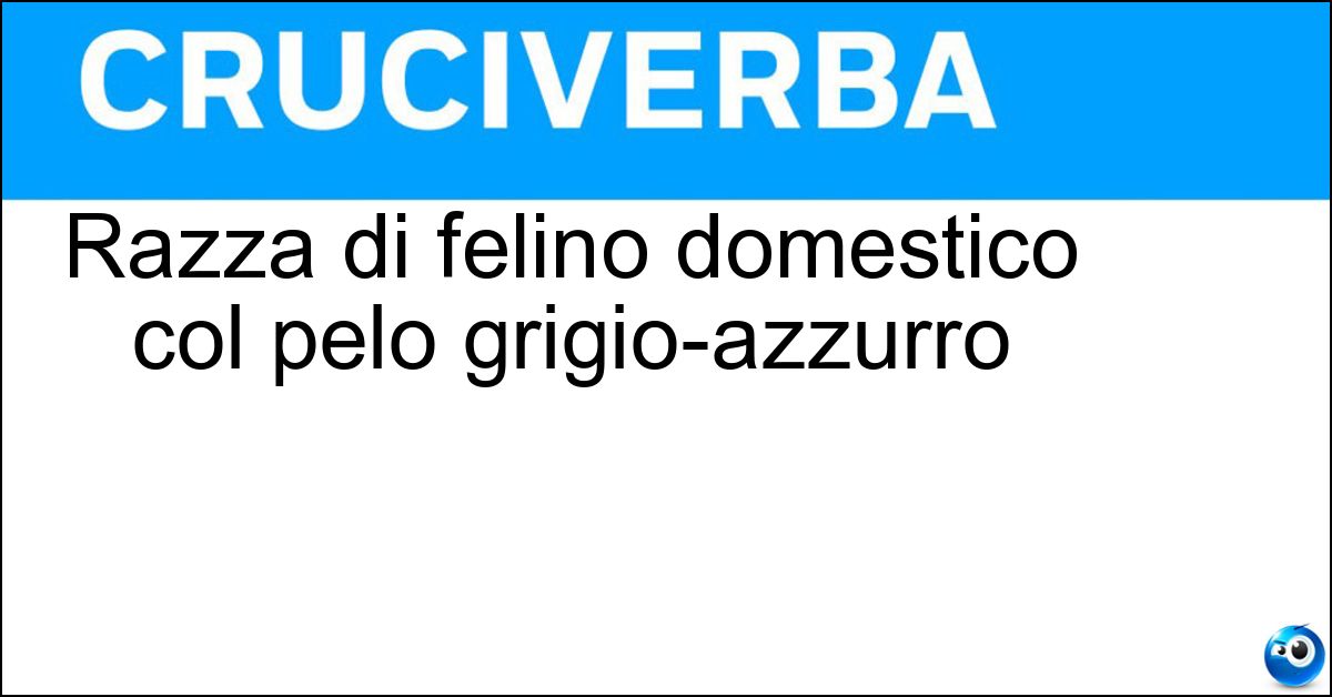 Razza di felino domestico col pelo grigio-azzurro Soluzione Razza di felino domestico col pelo grigio-azzurro - Gatto Certosino