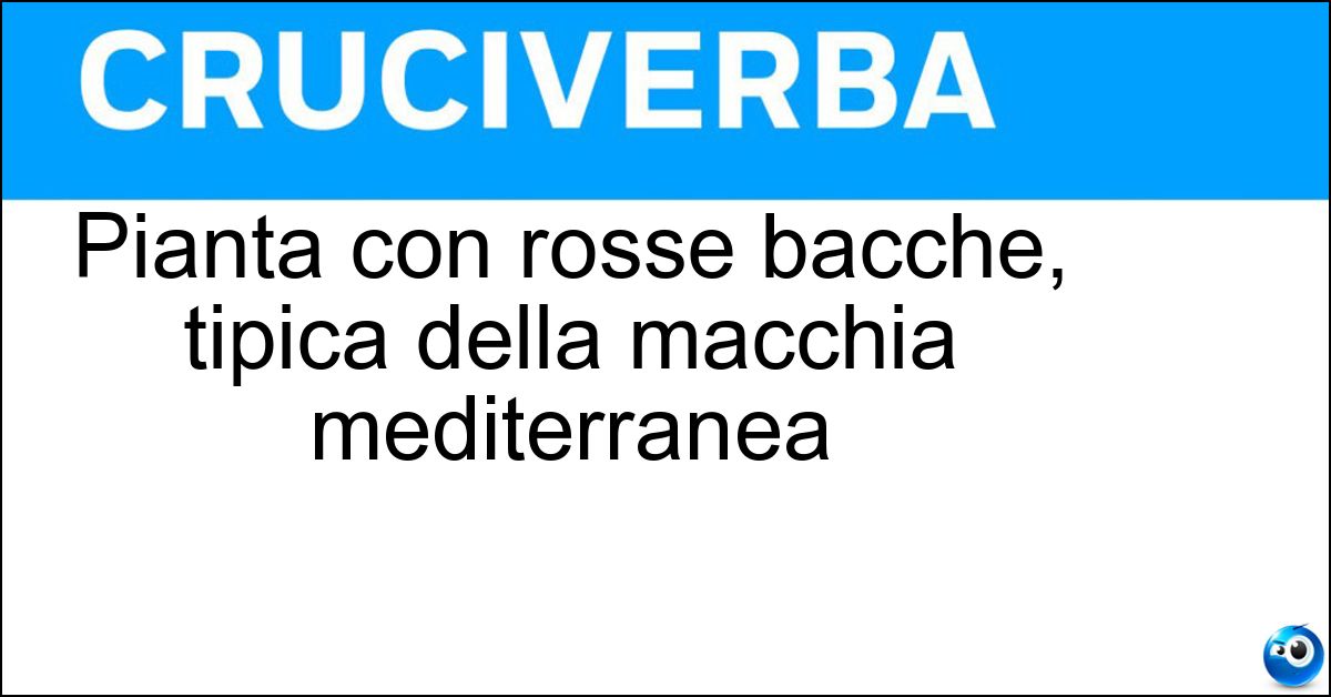Soluzione Pianta con rosse bacche, tipica della macchia mediterranea - Ginepro Coccolone