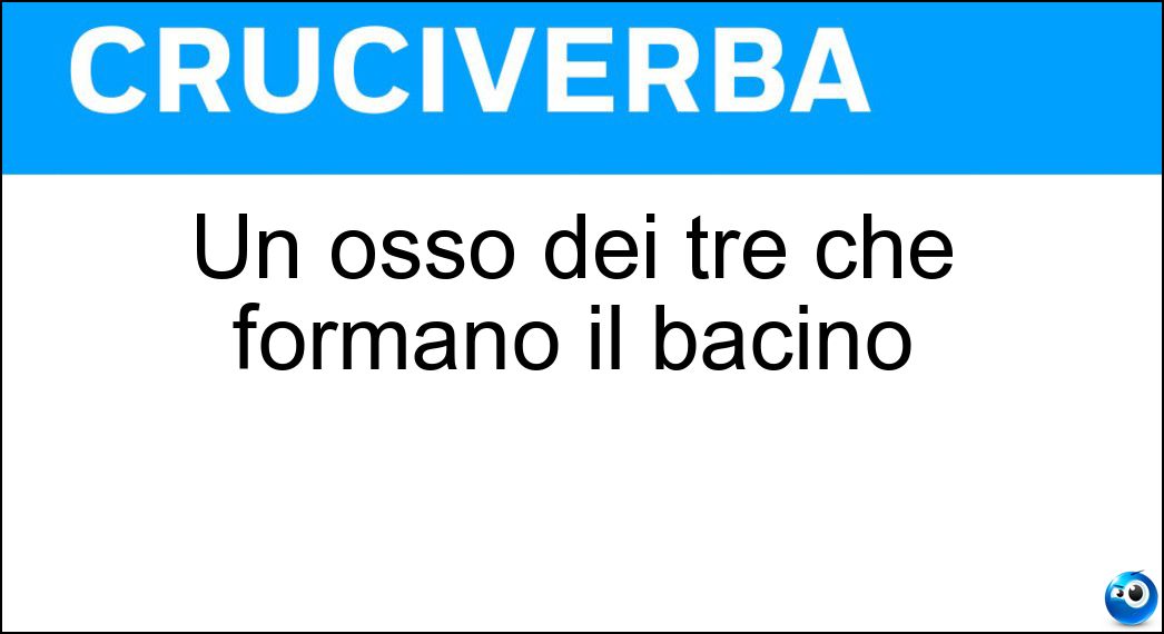 Un osso dei tre che formano il bacino