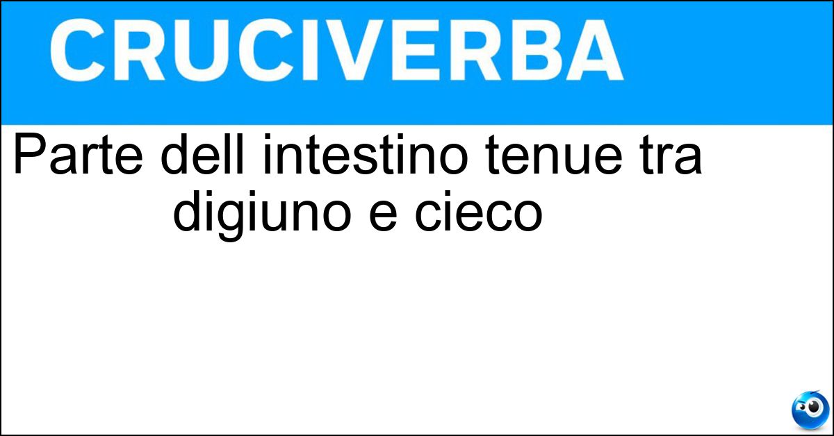 Parte dell intestino tenue tra digiuno e cieco Soluzione Parte dell intestino tenue tra digiuno e cieco - Ileo