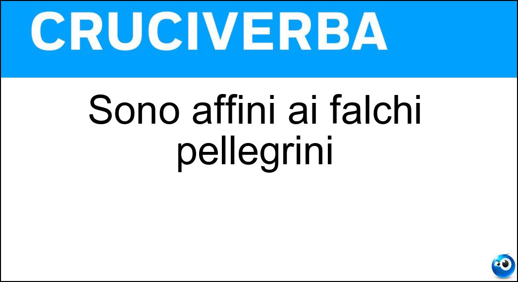 Sono affini ai falchi pellegrini Soluzione Cruciverba: Sono affini ai falchi pellegrini - Risposta Lanari