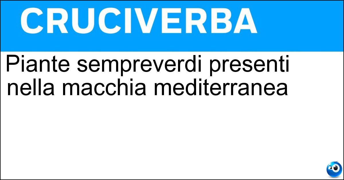Soluzione Piante sempreverdi presenti nella macchia mediterranea - Lentischi