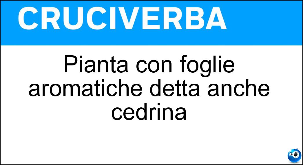 Pianta con foglie aromatiche detta anche cedrina Soluzione Pianta con foglie aromatiche detta anche cedrina - Limoncina