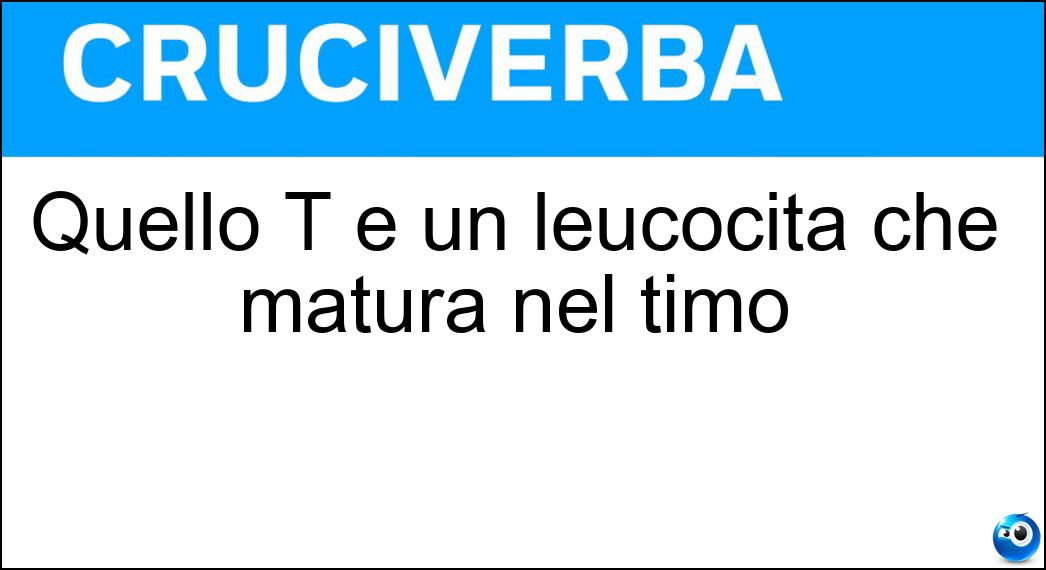 Quello T è un leucocita che matura nel timo Soluzione Quello T è un leucocita che matura nel timo - Linfocita