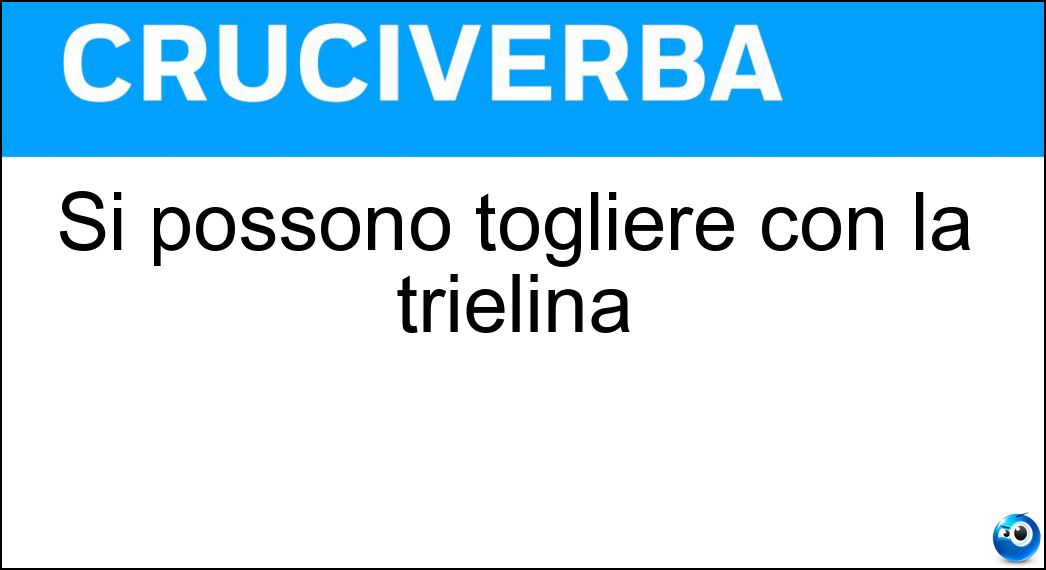 Si possono togliere con la trielina Soluzione Si possono togliere con la trielina - Macchie