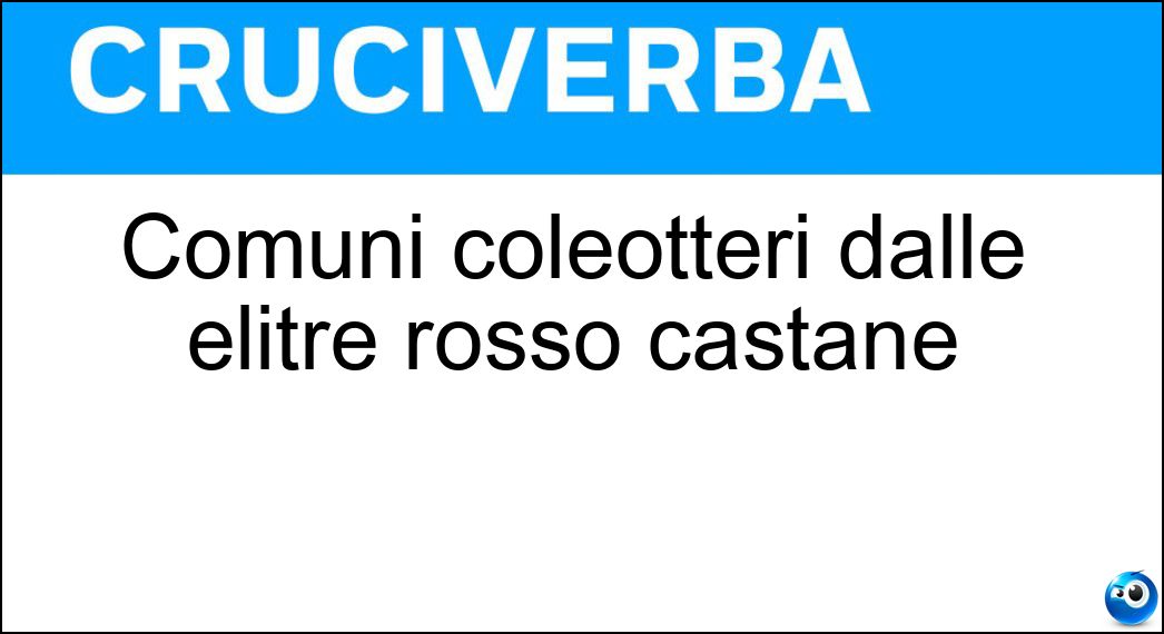 Comuni coleotteri dalle elitre rosso castane Soluzione Cruciverba: Comuni coleotteri dalle elitre rosso castane - Risposta Maggiolini