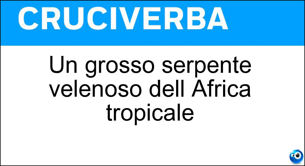 Un grosso serpente velenoso dell Africa tropicale Soluzione Un grosso serpente velenoso dell Africa tropicale - Mamba