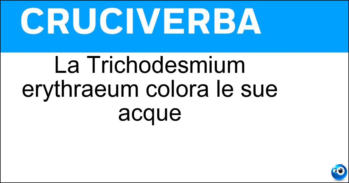 La Trichodesmium erythraeum colora le sue acque Soluzione La Trichodesmium erythraeum colora le sue acque - Mar Rosso