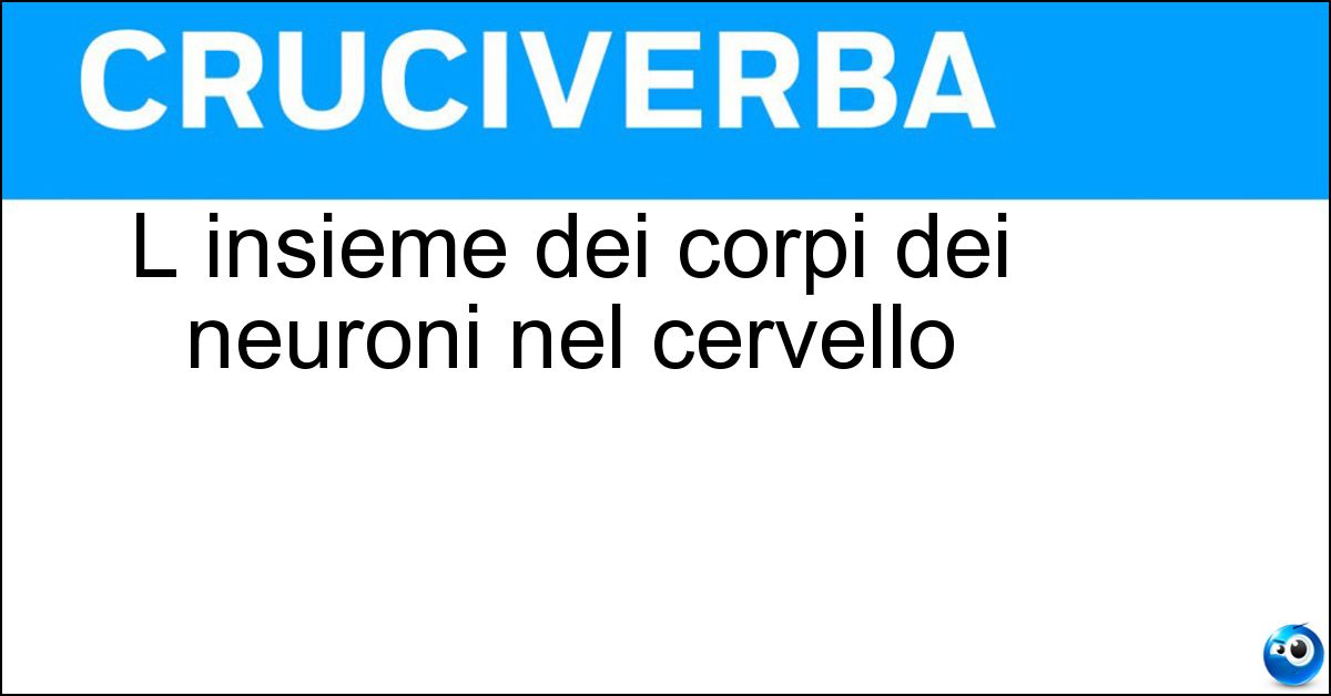 L insieme dei corpi dei neuroni nel cervello Soluzione L insieme dei corpi dei neuroni nel cervello - Materia Grigia