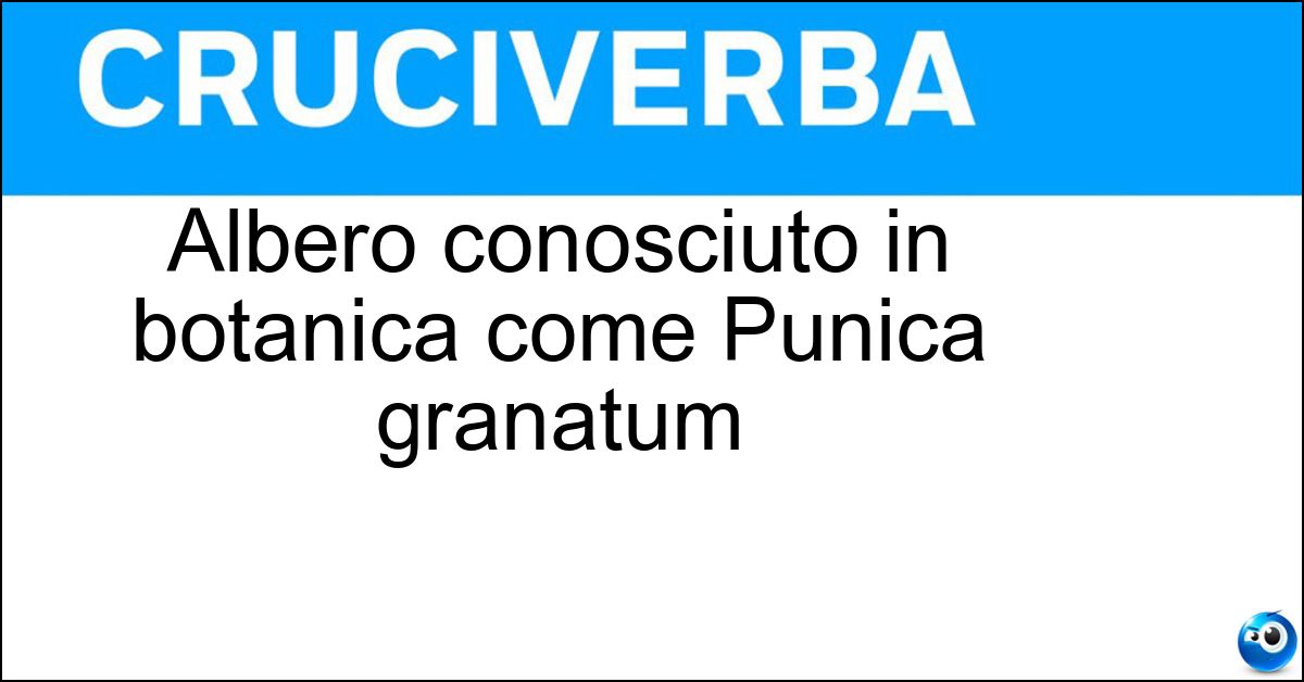 Albero conosciuto in botanica come Punica granatum Soluzione Albero conosciuto in botanica come Punica granatum - Melograno