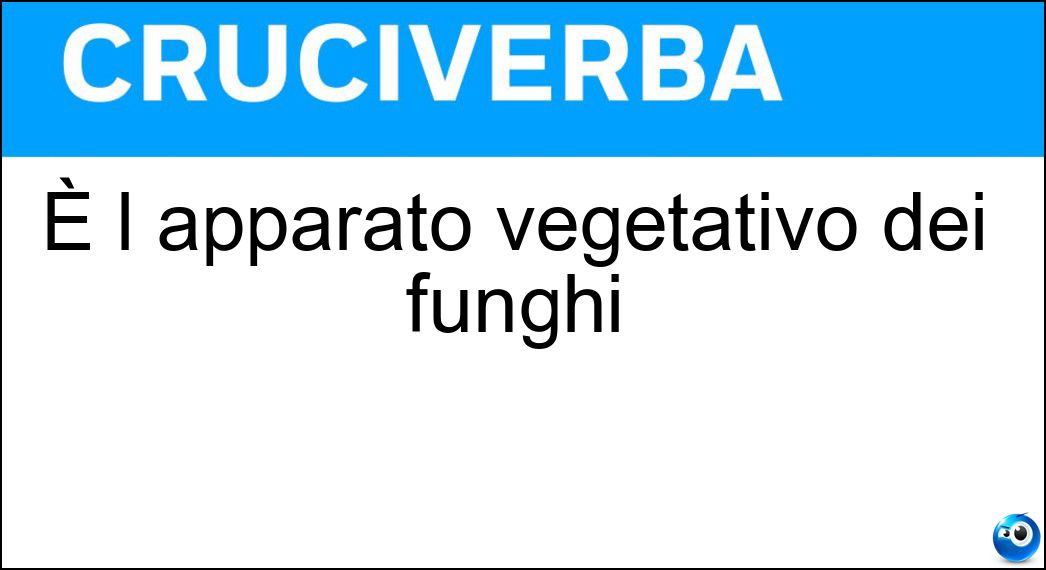 È l apparato vegetativo dei funghi