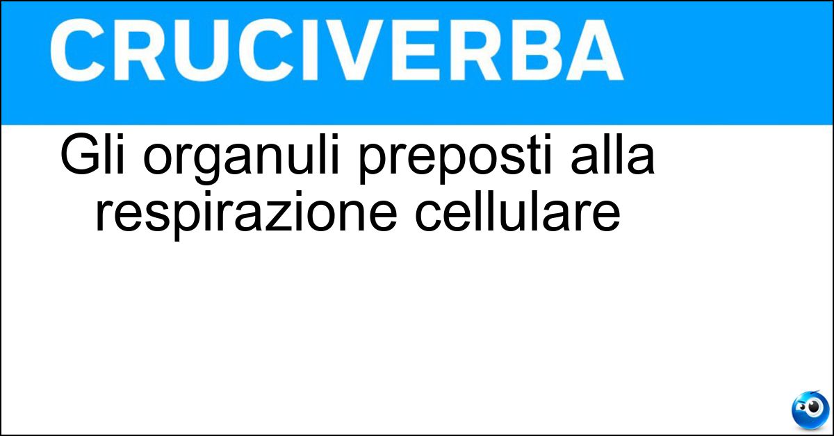Gli organuli preposti alla respirazione cellulare Soluzione Gli organuli preposti alla respirazione cellulare - Mitocondri