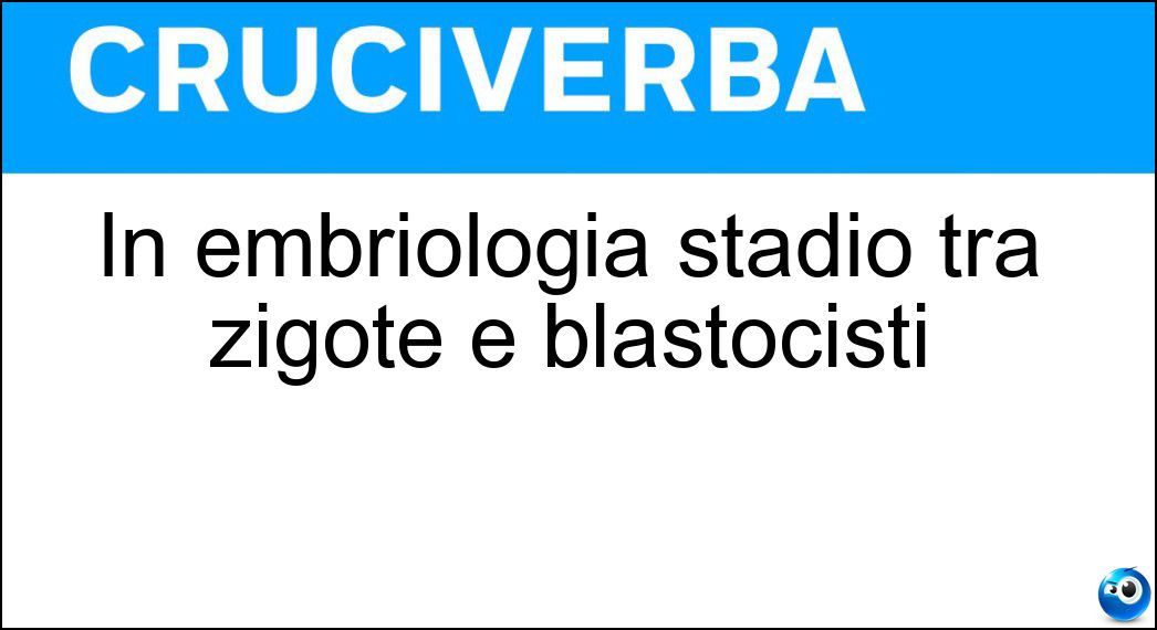 embriologia stadio