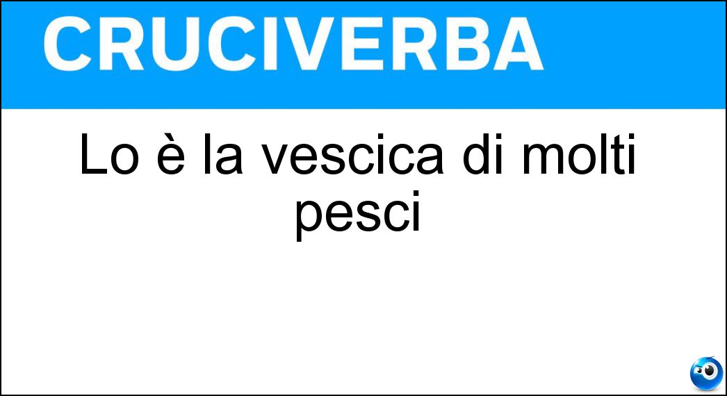 vescica molti