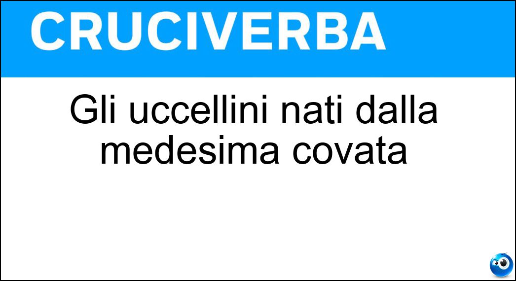 uccellini nati