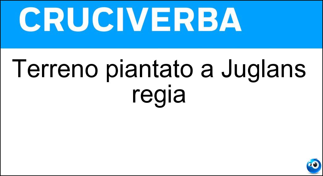 Terreno piantato a Juglans regia Soluzione Cruciverba: Terreno piantato a Juglans regia - Risposta Noceto