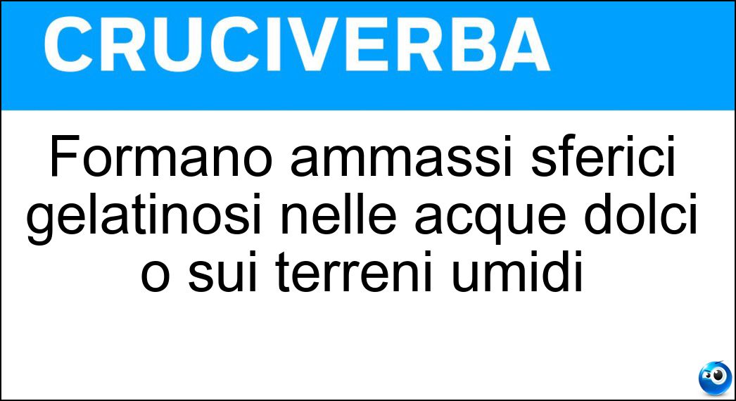 Formano ammassi sferici gelatinosi nelle acque dolci o sui terreni umidi