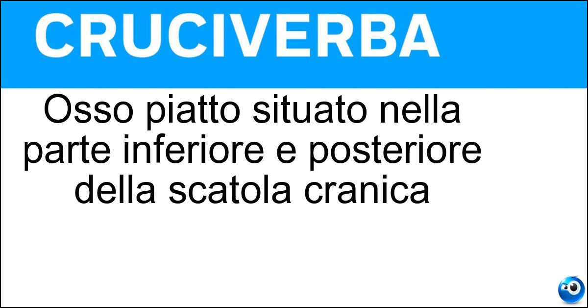 Osso piatto situato nella parte inferiore e posteriore della scatola cranica