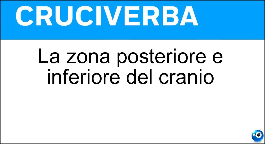 La zona posteriore e inferiore del cranio