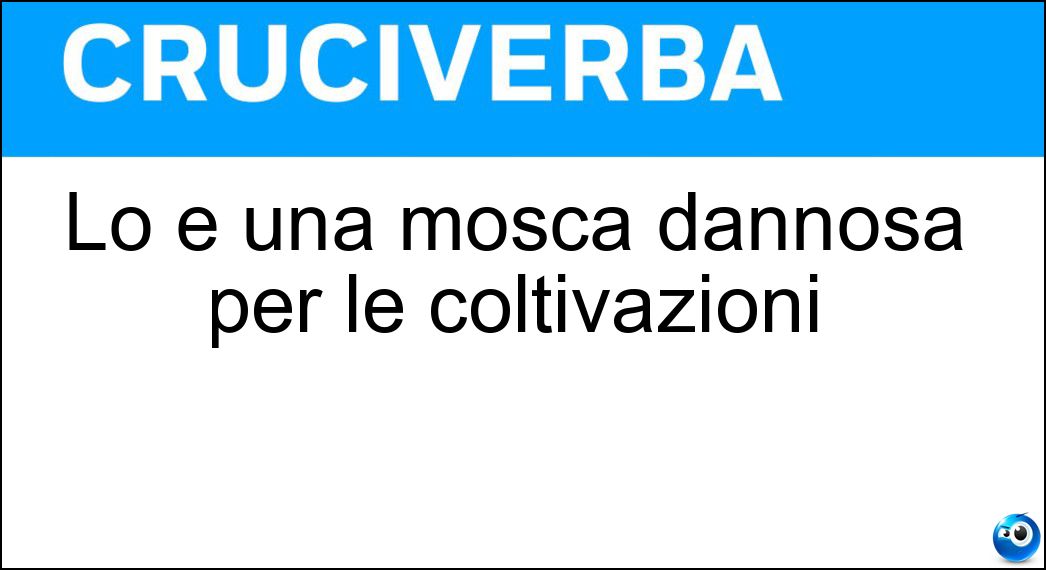 Lo è una mosca dannosa per le coltivazioni Soluzione Cruciverba: Lo è una mosca dannosa per le coltivazioni - Risposta Olearia