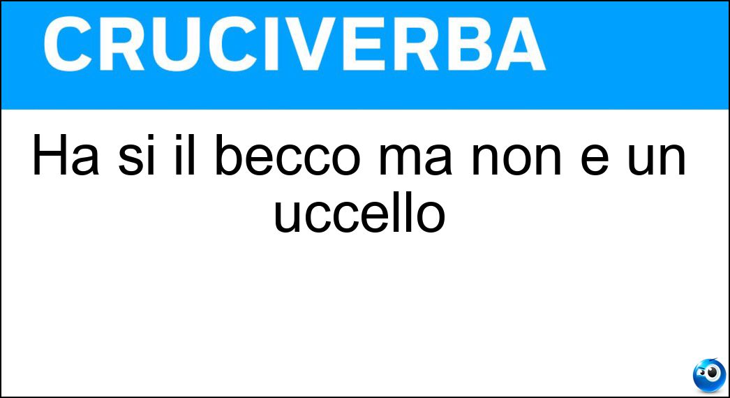 becco uccello