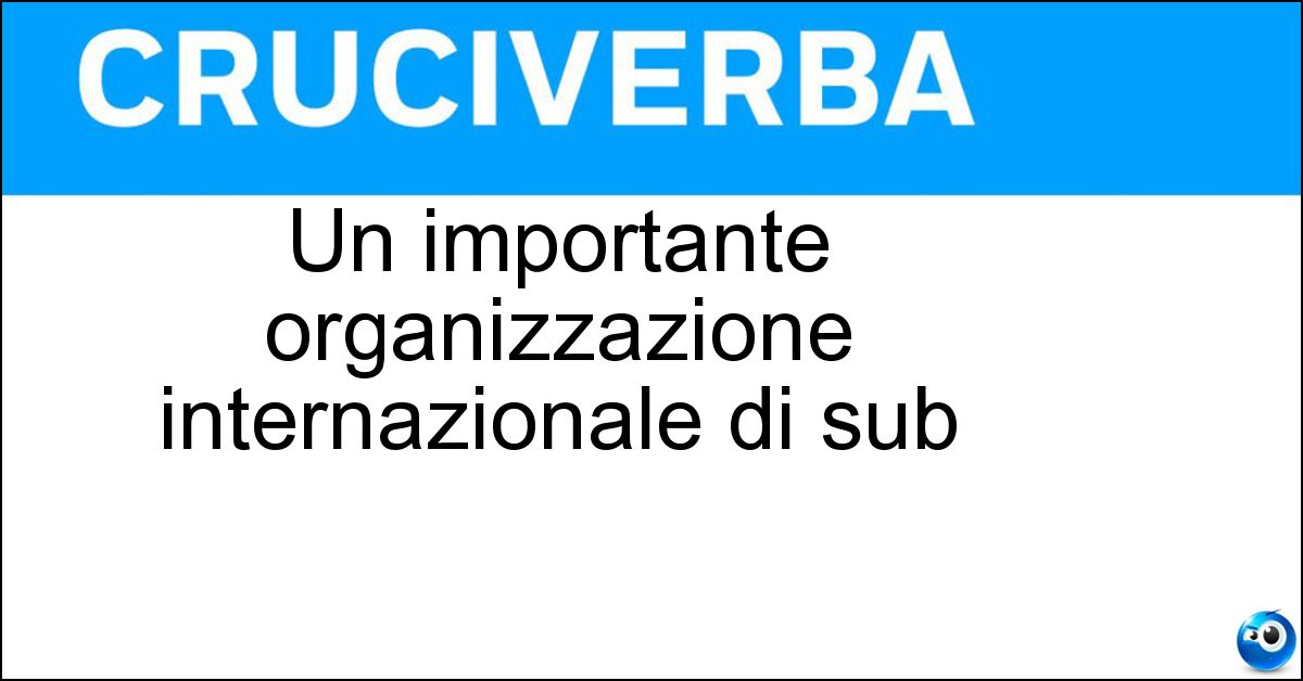 Soluzione Un importante organizzazione internazionale di sub - Padi