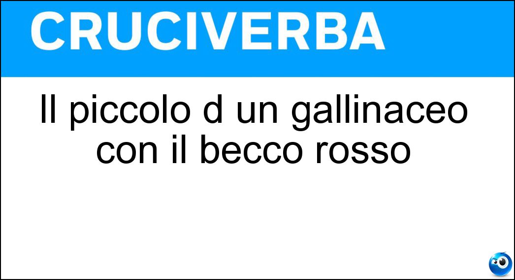 Il piccolo d un gallinaceo con il becco rosso