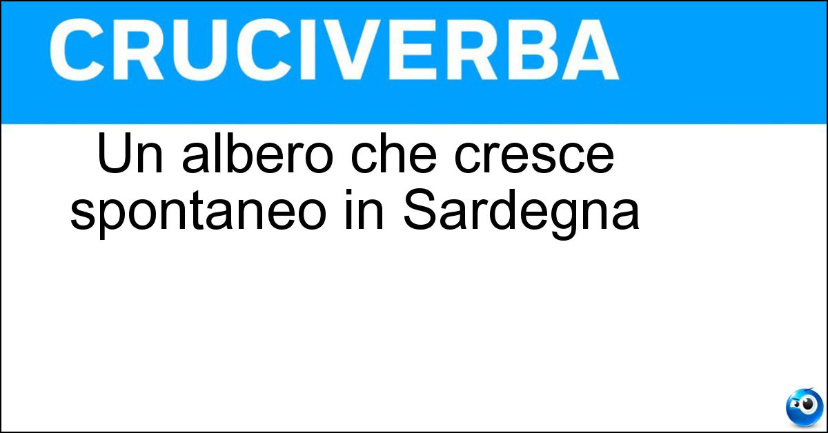 Un albero che cresce spontaneo in Sardegna Soluzione Un albero che cresce spontaneo in Sardegna - Pino Marittimo